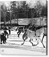 Skijoring At Lake Placid Acrylic Print