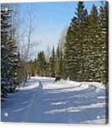 Sledding Acrylic Print