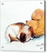 Sleeping Puppies Acrylic Print