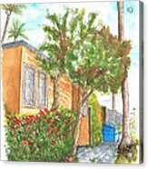 Small Trees In Homewood Ave - Hollywood - California Acrylic Print