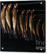 Smoking Fish Acrylic Print
