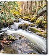 Smoky Mountain Stream 4 Acrylic Print