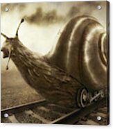 Snail Mail Acrylic Print