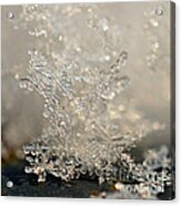 Snowflakes Acrylic Print