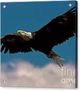 Soaring To Greater Heights Acrylic Print
