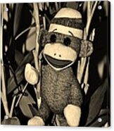 Sock Monkey In His Natural Habitat In Sepia Acrylic Print