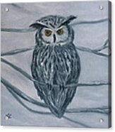 Solstice Owl Acrylic Print