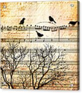 Songbirds Acrylic Print