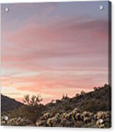 Sonoran Desert Sunset Acrylic Print