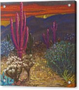 Sonoran Sentinels Acrylic Print