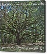 Soul Tree Acrylic Print