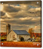 South For The Winter Acrylic Print