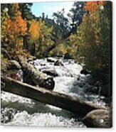 South Fork Bishop Creek Acrylic Print