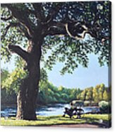 Southampton Riverside Park Oak Tree With Cyclist Acrylic Print