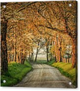 Sparks Lane Acrylic Print