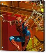 Spider Man Acrylic Print