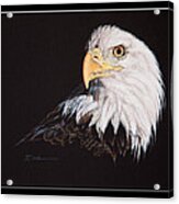 Spirit Of Freedom Bald Eagle Acrylic Print