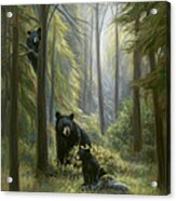 Spirits Of The Forest Acrylic Print