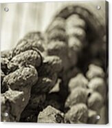 Spliced And Bound Black And White Sepia Acrylic Print