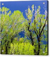 Spring Green Before The Storm Acrylic Print