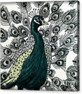 Spring Green Peacock Acrylic Print