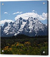 Spring In Grand Tetons National Park Acrylic Print