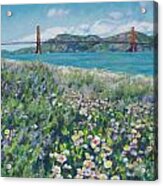 Spring In San Francisco Acrylic Print