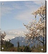 Spring Magnolia With Mountain Acrylic Print