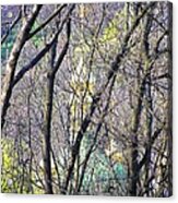 Spring Acrylic Print