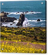 Spring On The California Coast By Denise Dube Acrylic Print