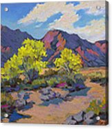 Spring Palo Verde Acrylic Print