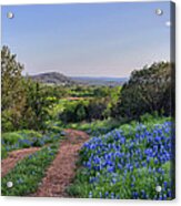 Springtime in the Hill Country Acrylic Print