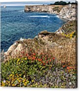 Springtime On The California Coast Acrylic Print