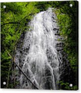 Springtime Waterfall Acrylic Print