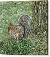 Squirrel Acrylic Print