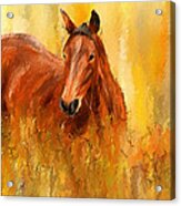 Stallion In Autumn - Bay Horse Paintings Acrylic Print