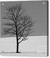 Standing Alone Acrylic Print