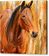 Standing Regally- Bay Horse Paintings Acrylic Print