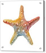 Starfish Acrylic Print
