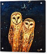 Starlight Owls Acrylic Print