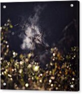 Steaming Bull Elk With Iris Flare Acrylic Print
