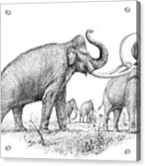 Steppe Mammoths Acrylic Print