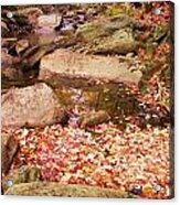 Stone Brook Ii Acrylic Print