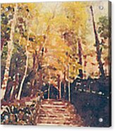 Stone Path Through A Forest In Autumn Acrylic Print