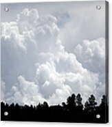Storm Cloud Forest Silhouette Acrylic Print