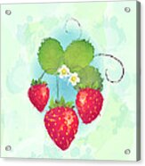 Summer Strawberries Acrylic Print
