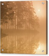 Sun & Mist Acrylic Print