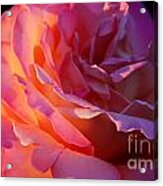The Sun The Rose And Me Acrylic Print
