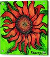 Sunflower 3 Acrylic Print