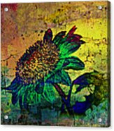 Sunflower Abstract Acrylic Print